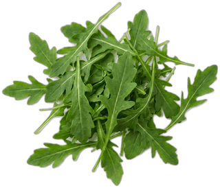 Arugula
